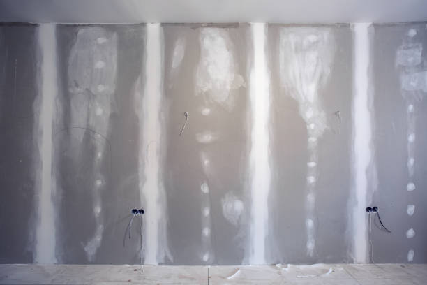 Best Drywall Texturing  in Lacoochee, FL